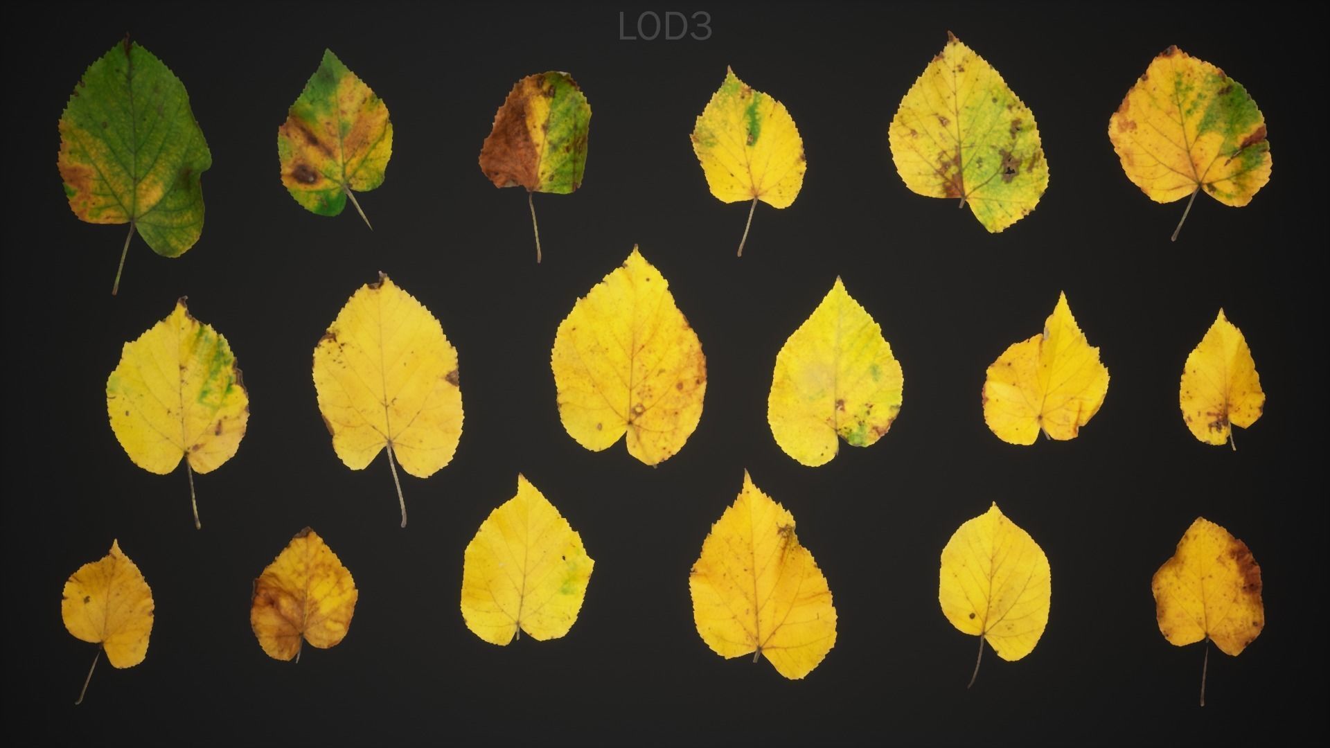 Tilia Autumn Leaves 4k Scanned Low-poly 3D model_9