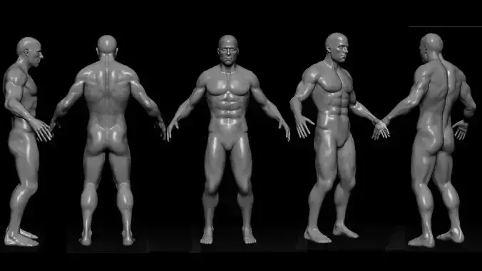 Male Base Mesh with rigged and retopod Versions Low-poly 3D model