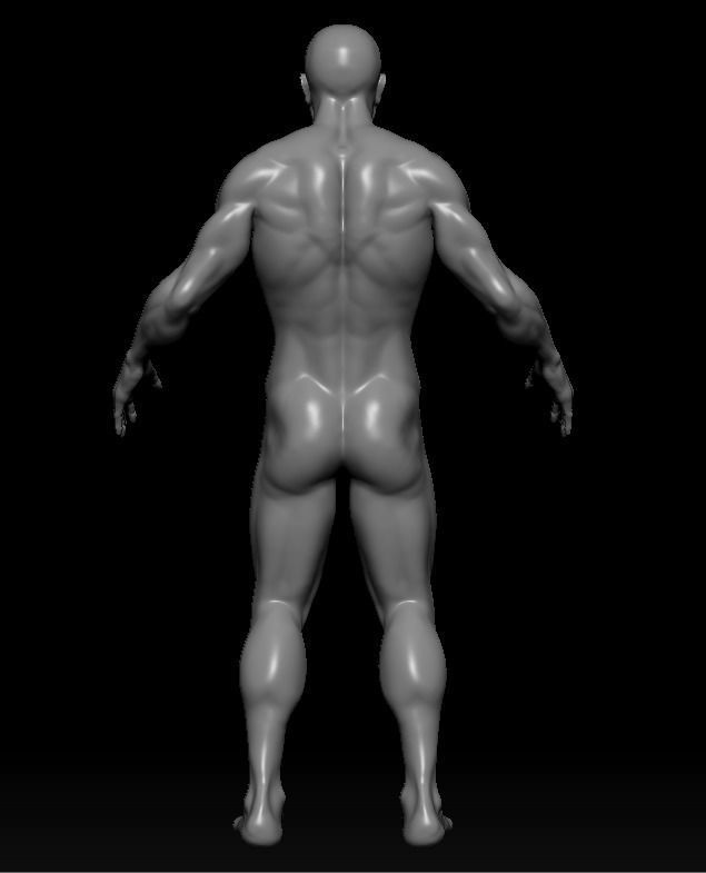 Male Base Mesh with rigged and retopod Versions Low-poly 3D model_5