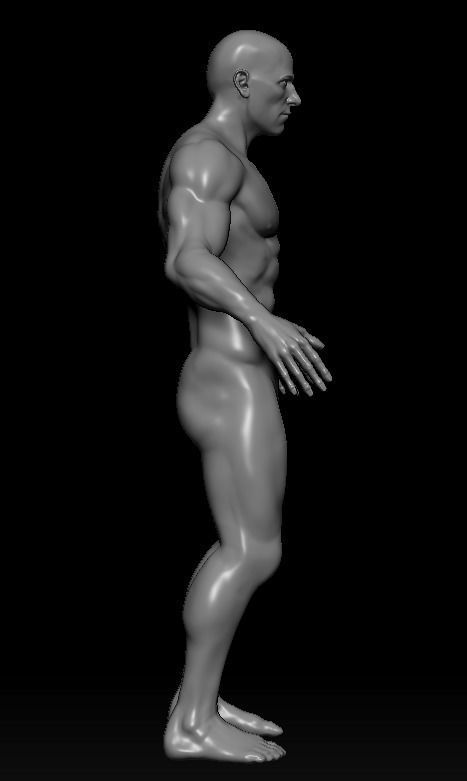 Male Base Mesh with rigged and retopod Versions Low-poly 3D model_4