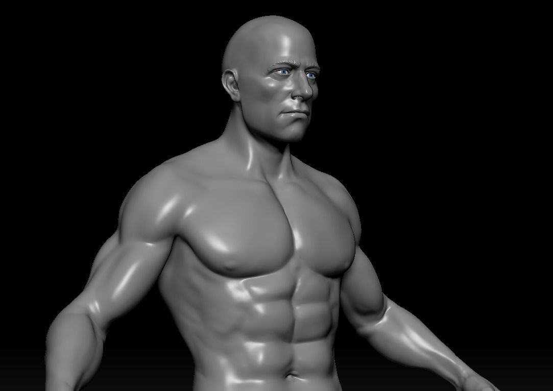 Male Base Mesh with rigged and retopod Versions Low-poly 3D model_8