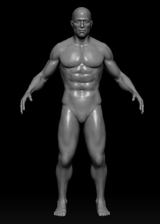 Male Base Mesh with rigged and retopod Versions Low-poly 3D model_2