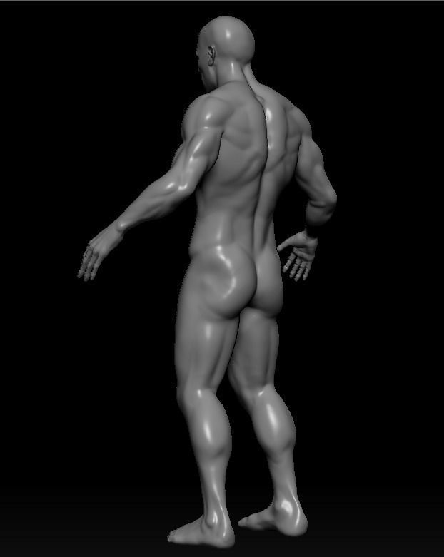 Male Base Mesh with rigged and retopod Versions Low-poly 3D model_6