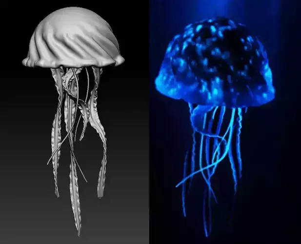 Jellyfish Deep Ocean Creature Base Mesh 3D model
