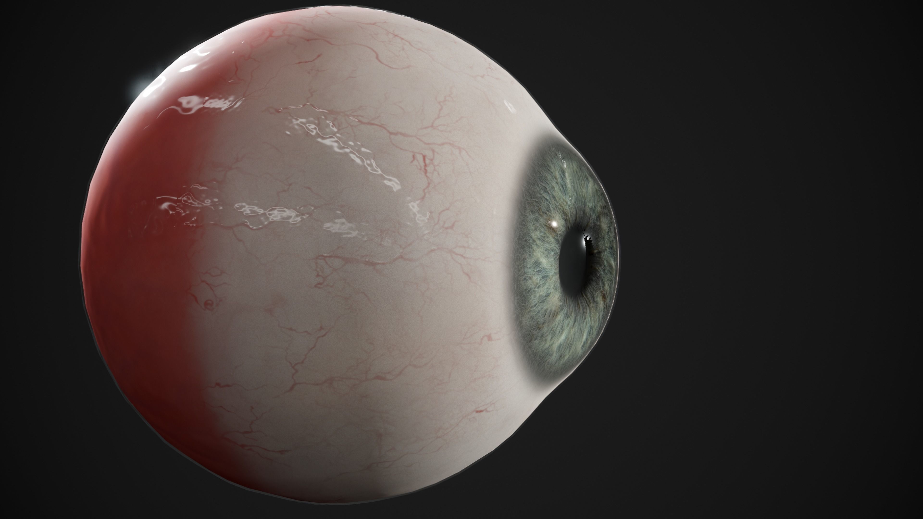 Human Eye Realtime pack Low-poly 3D model_11