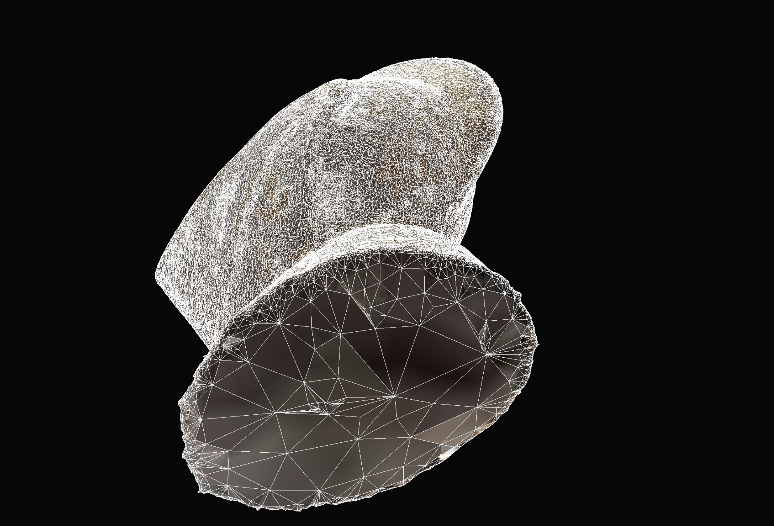 Gold and Silver Knights Helmet Photogrammetry scan 3D model_17