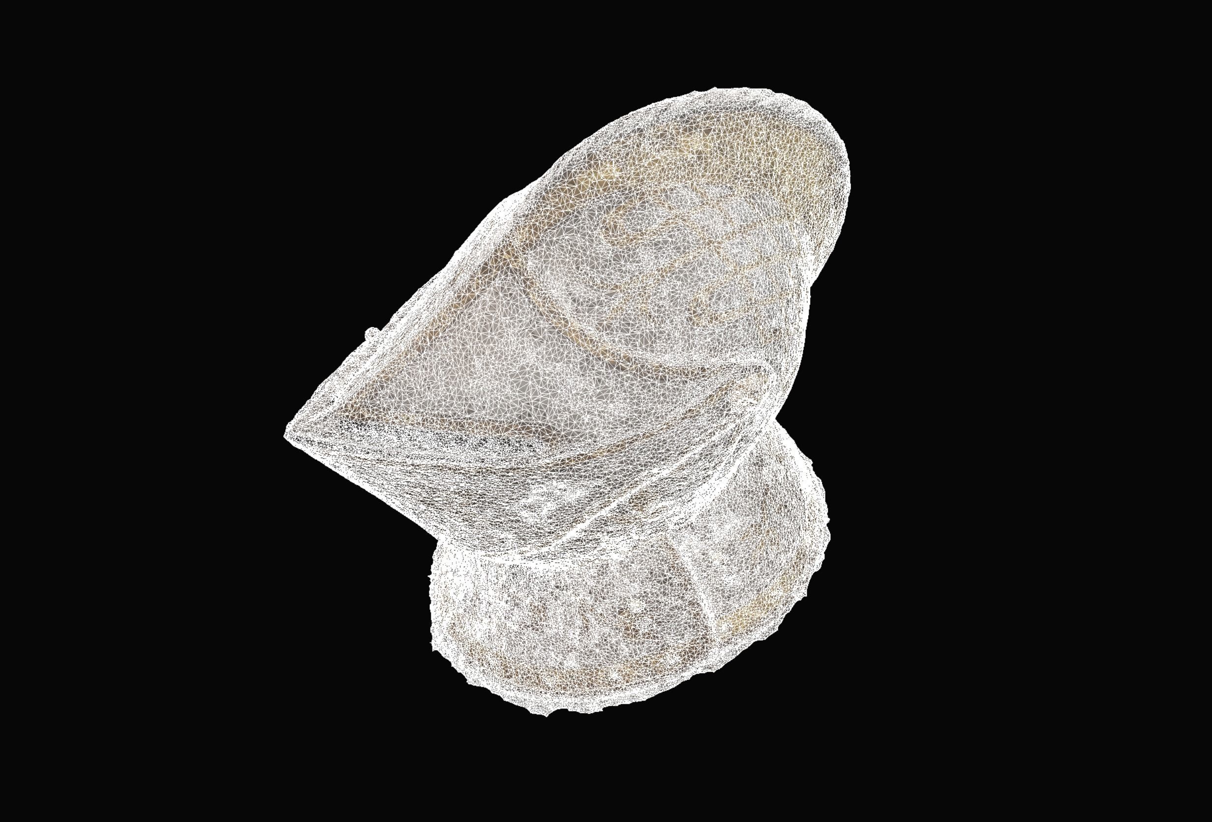 Gold and Silver Knights Helmet Photogrammetry scan 3D model_18