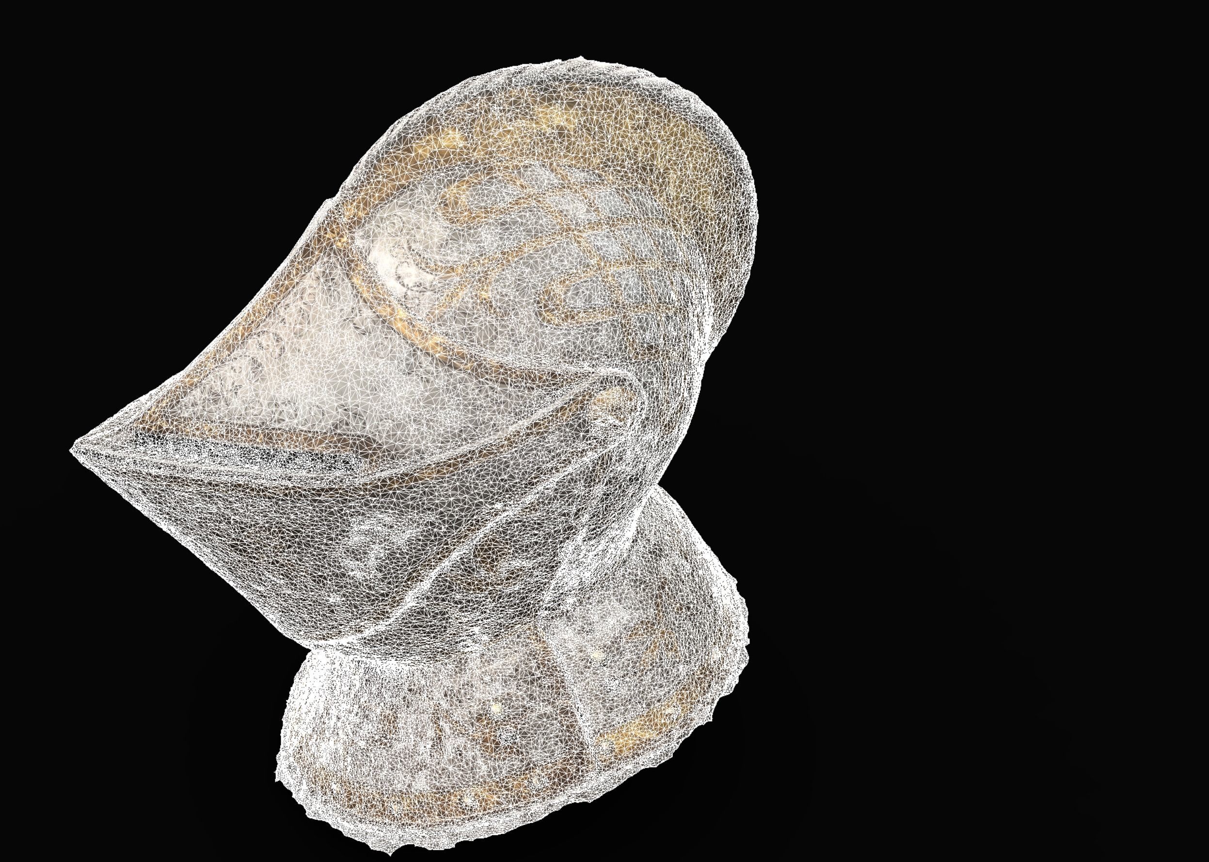 Gold and Silver Knights Helmet Photogrammetry scan 3D model_11