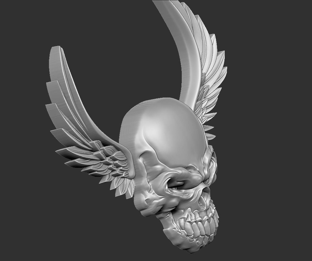 skull wings 3D print model_6