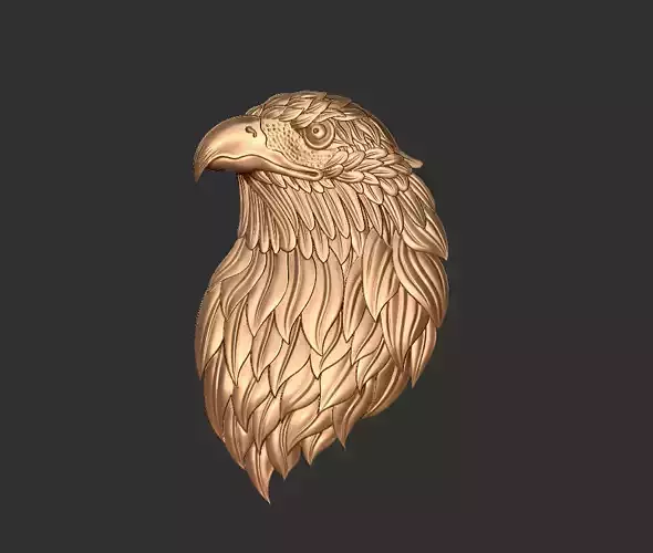 eagle head