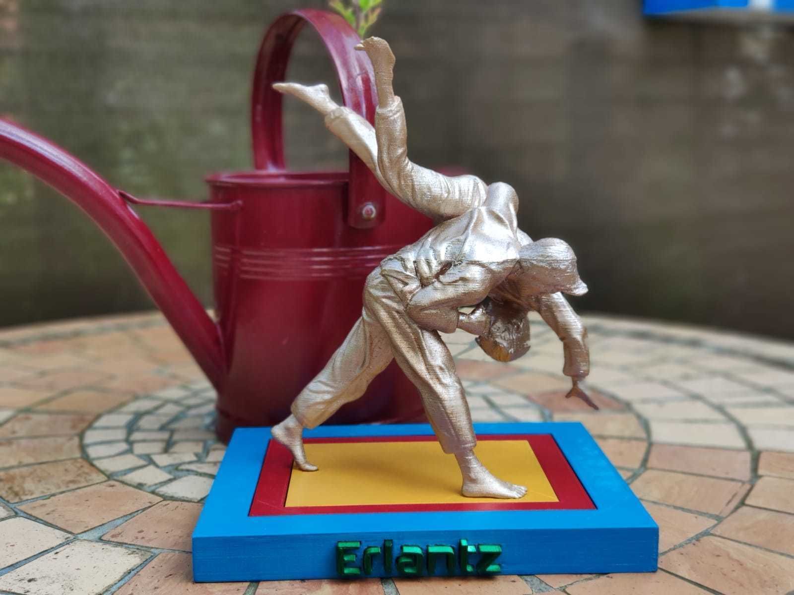 Judoka diorama 3D print model_1
