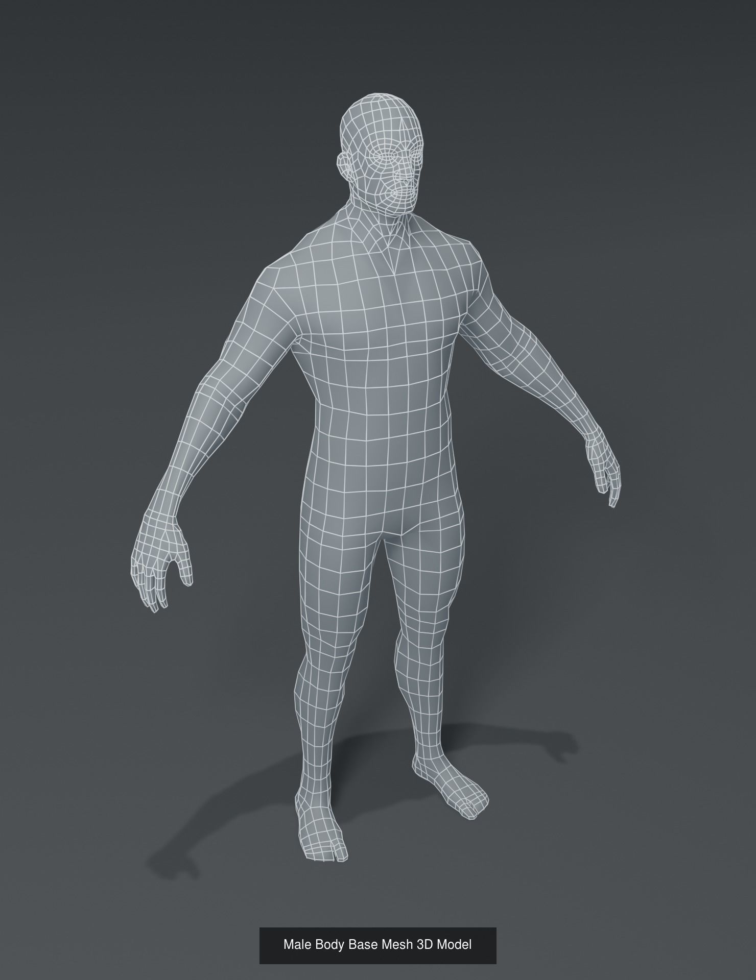 Standard Human Body Base Mesh 3D Model Collection_5