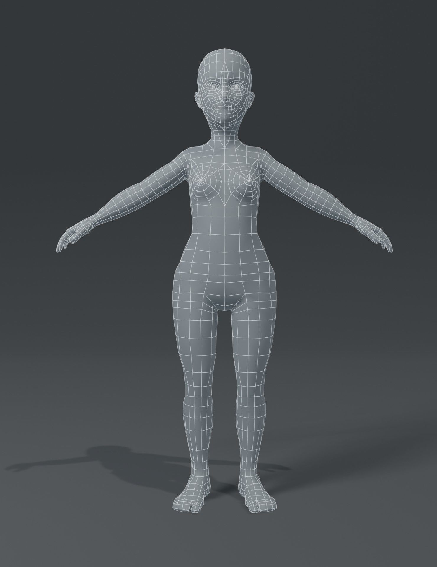 Standard Human Body Base Mesh 3D Model Collection_30