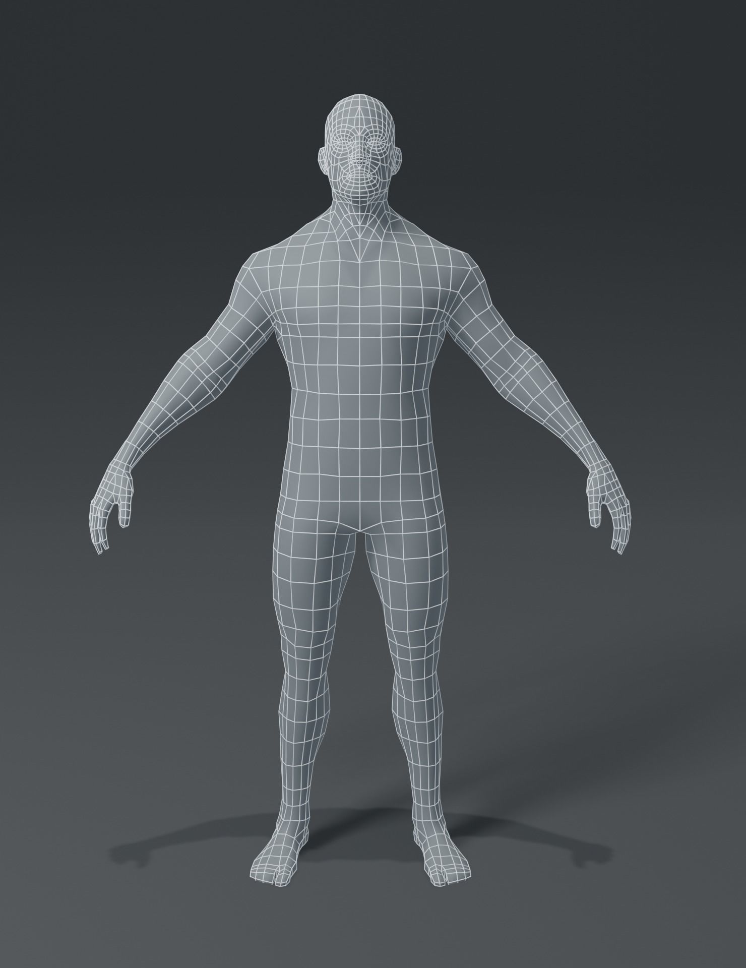 Standard Human Body Base Mesh 3D Model Collection_10