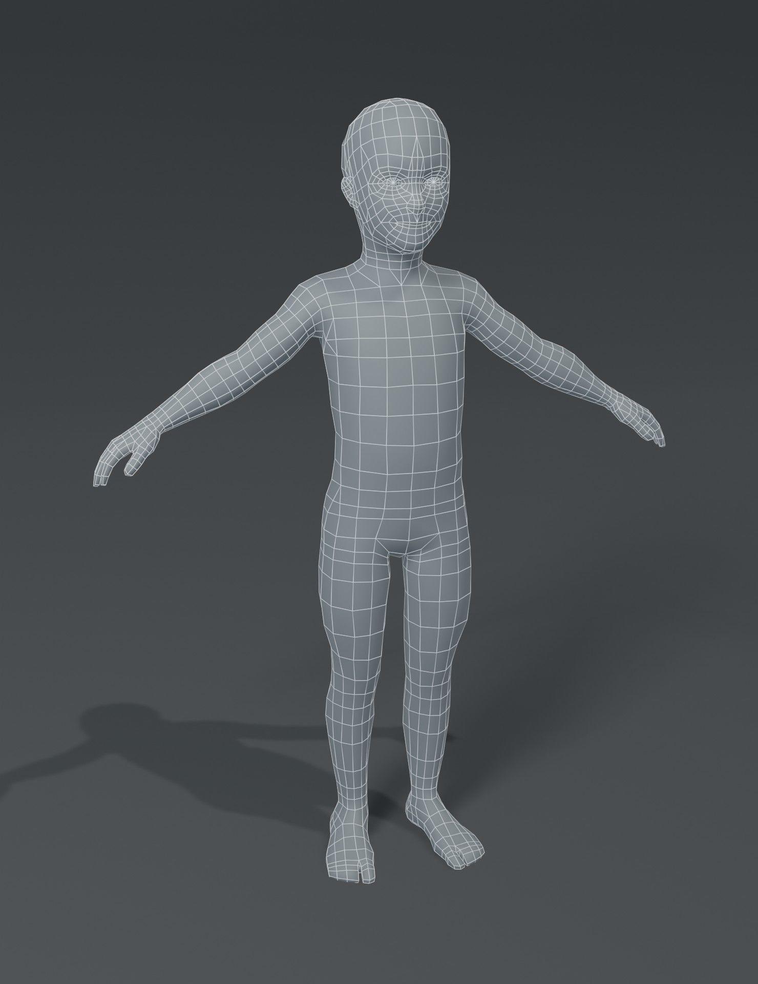 Standard Human Body Base Mesh 3D Model Collection_31