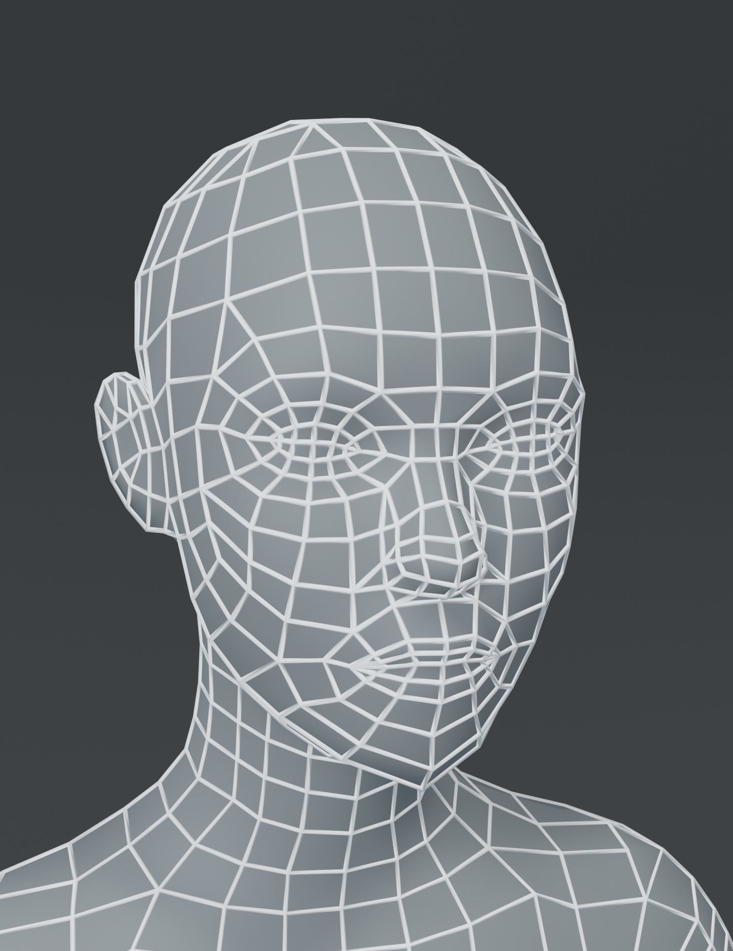 Standard Human Body Base Mesh 3D Model Collection_29