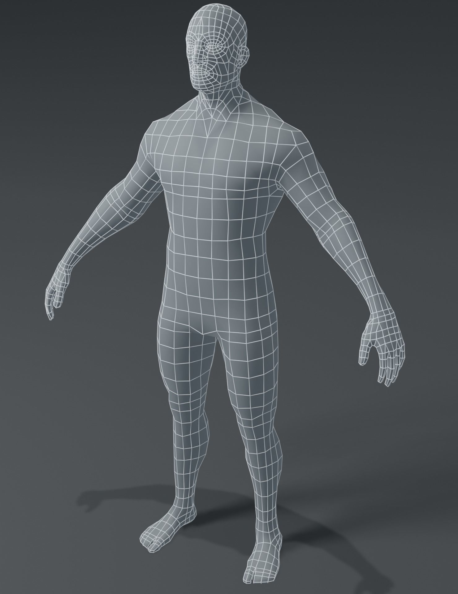 Standard Human Body Base Mesh 3D Model Collection_12