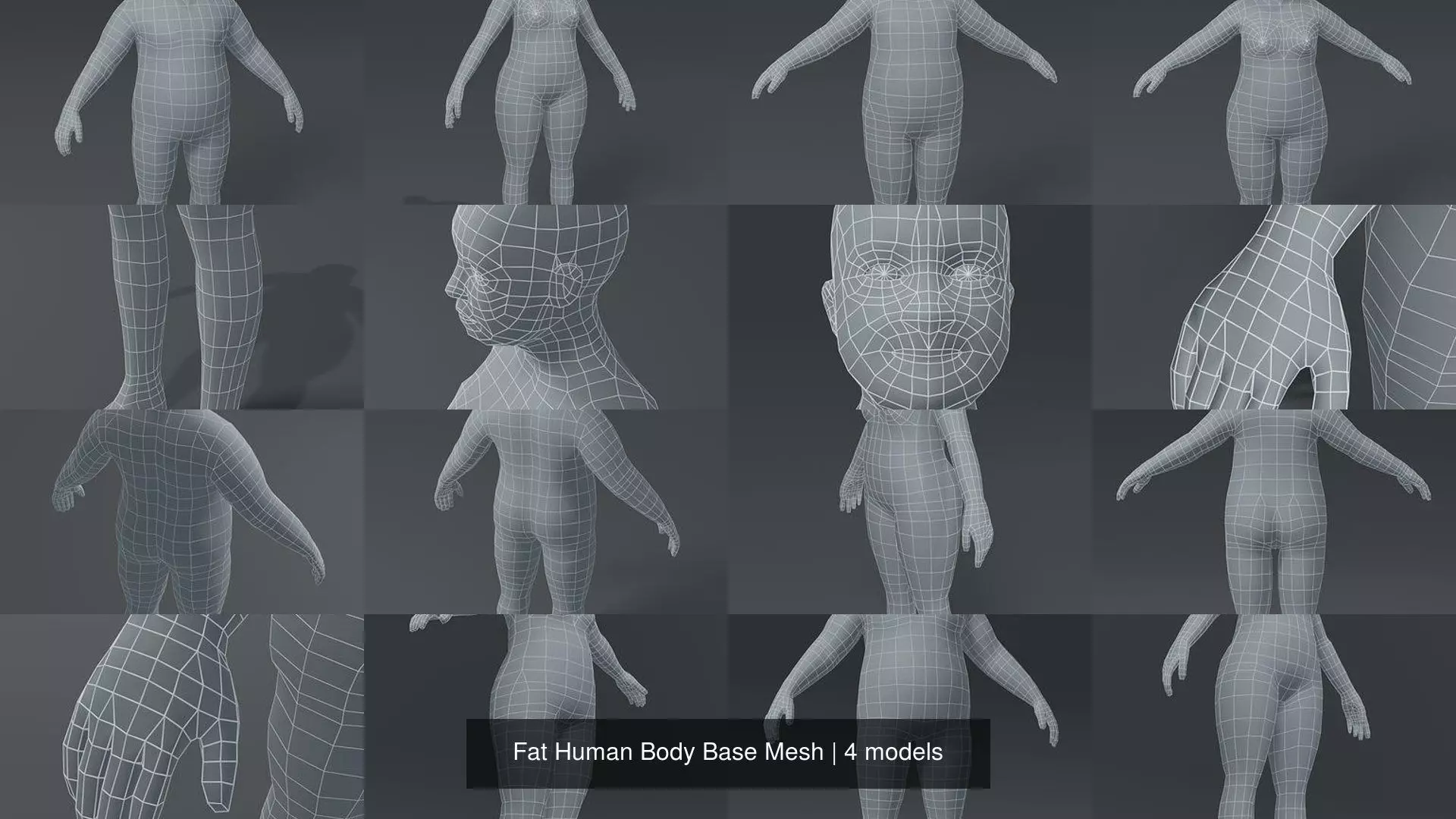 Fat Human Body Base Mesh 3D Model Collection_5