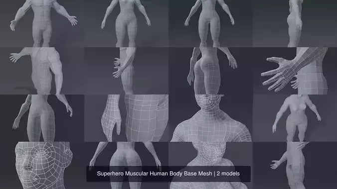 Superhero Muscular Human Body Base Mesh