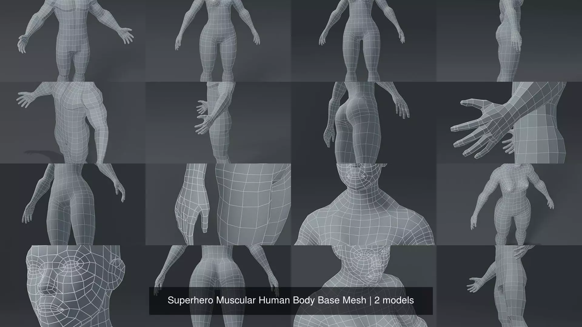 Superhero Muscular Human Body Base Mesh 3D Model Collection_3
