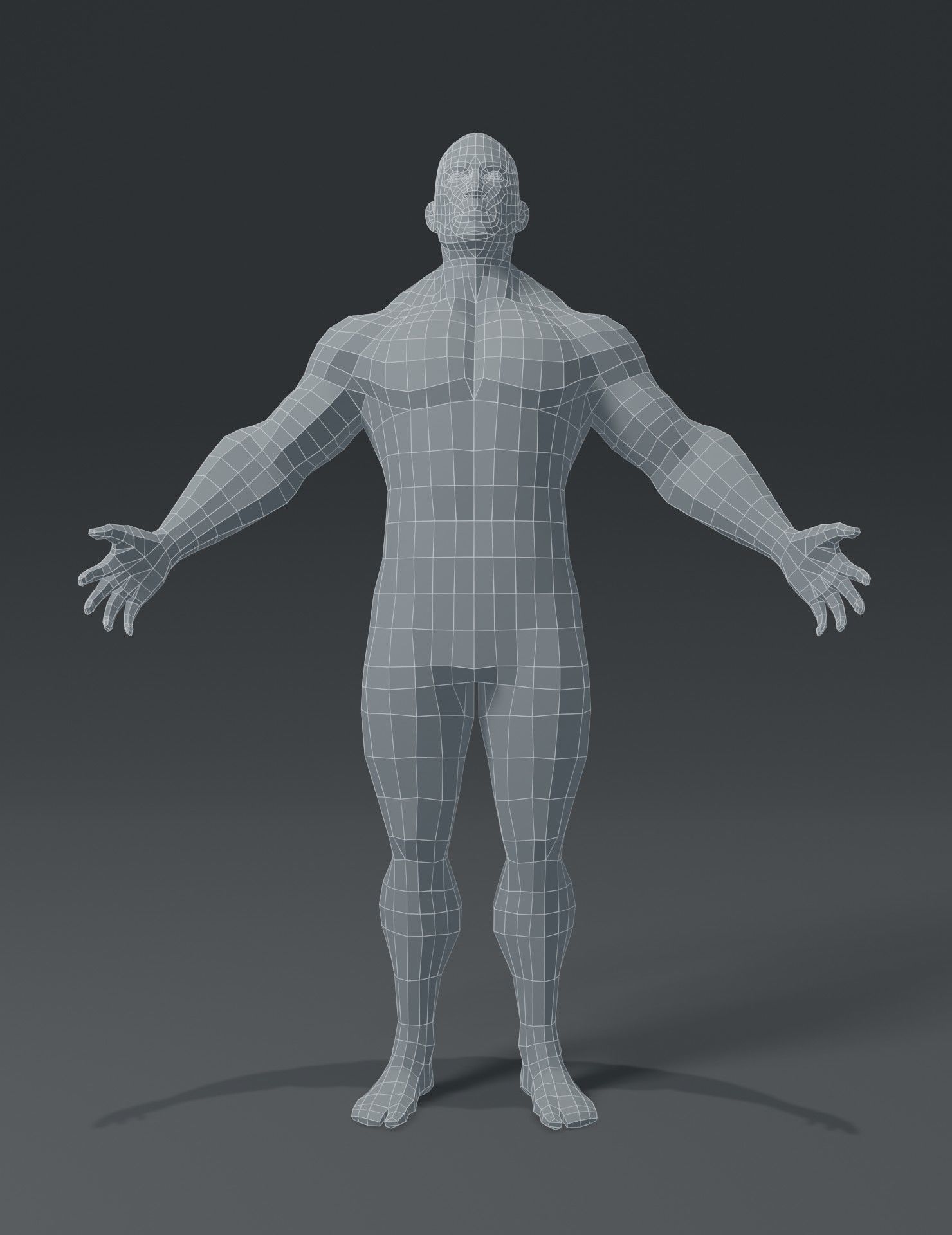 Superhero Muscular Human Body Base Mesh 3D Model Collection_22