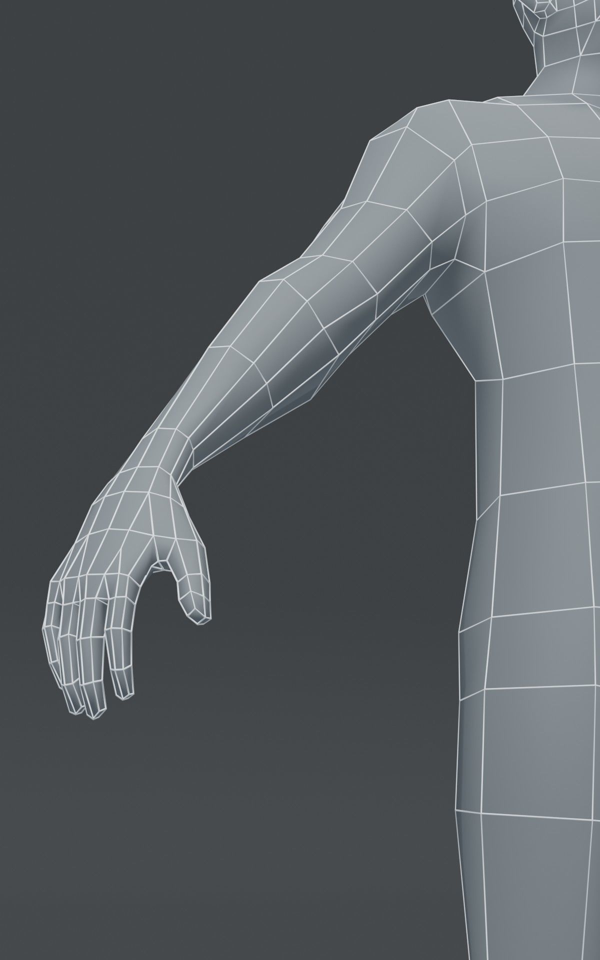 Male Body Base Mesh  3D Model 1000 Polygons Low-poly 3D model_2