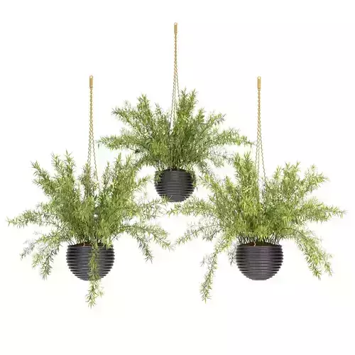Hanging Basket plants set 3D model