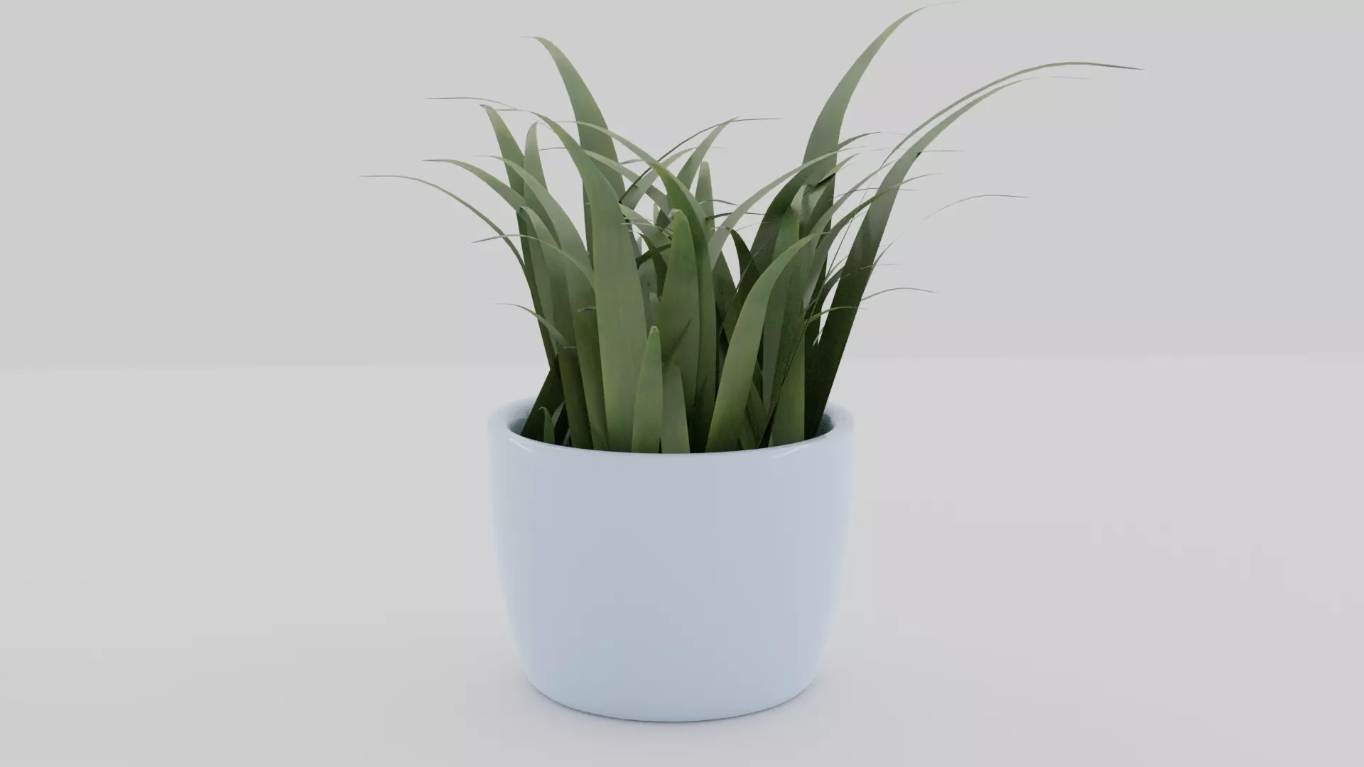 Plant in pot Free 3D model_0