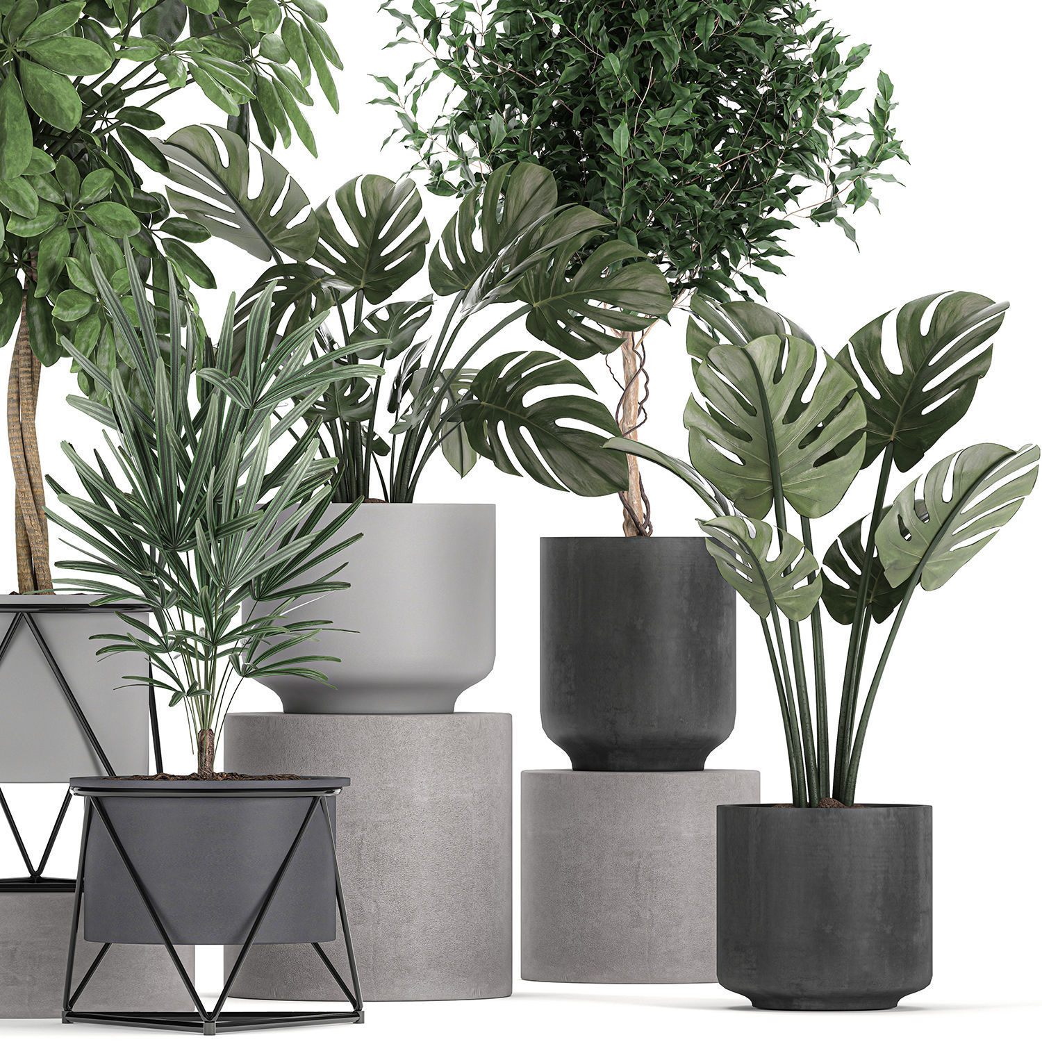 Collection of decorative plants in flowerpots 759 3D model_4