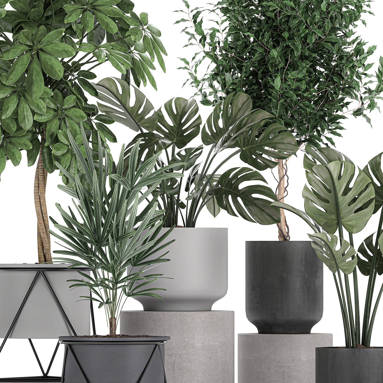 Collection of decorative plants in flowerpots 759 3D model_3