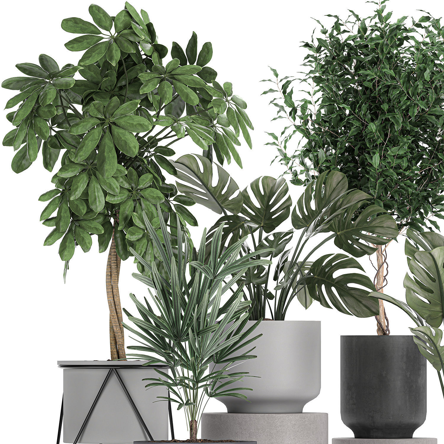 Collection of decorative plants in flowerpots 759 3D model_1