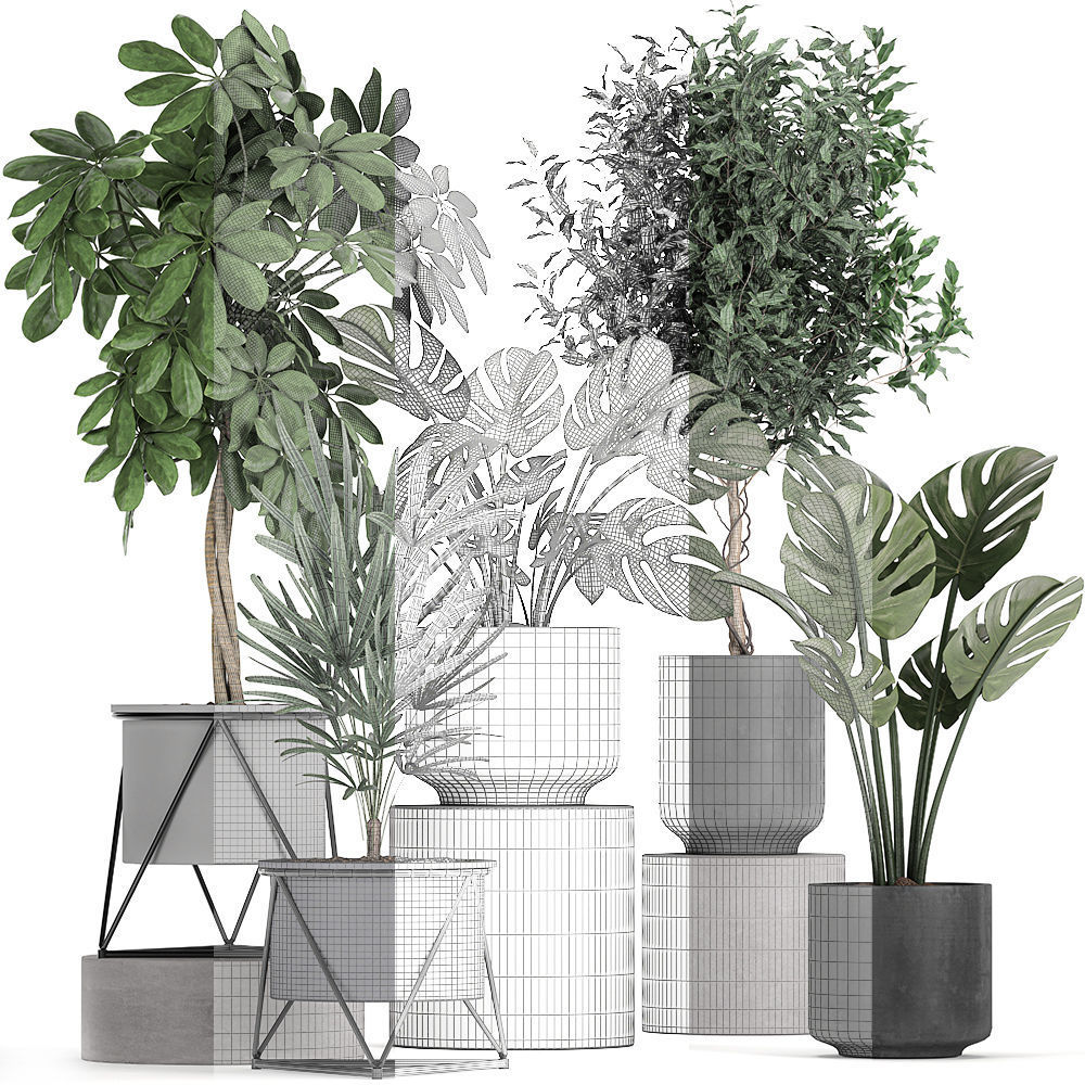 Collection of decorative plants in flowerpots 759 3D model_5