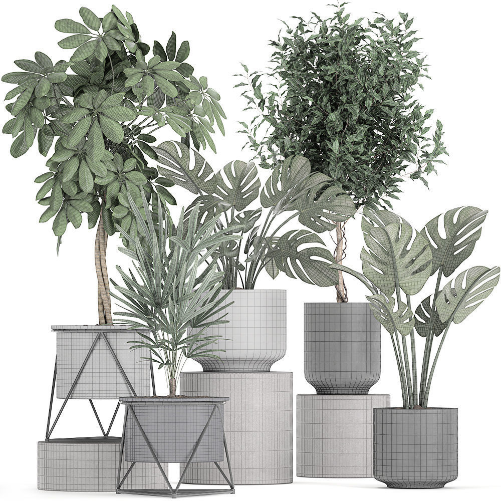 Collection of decorative plants in flowerpots 759 3D model_6