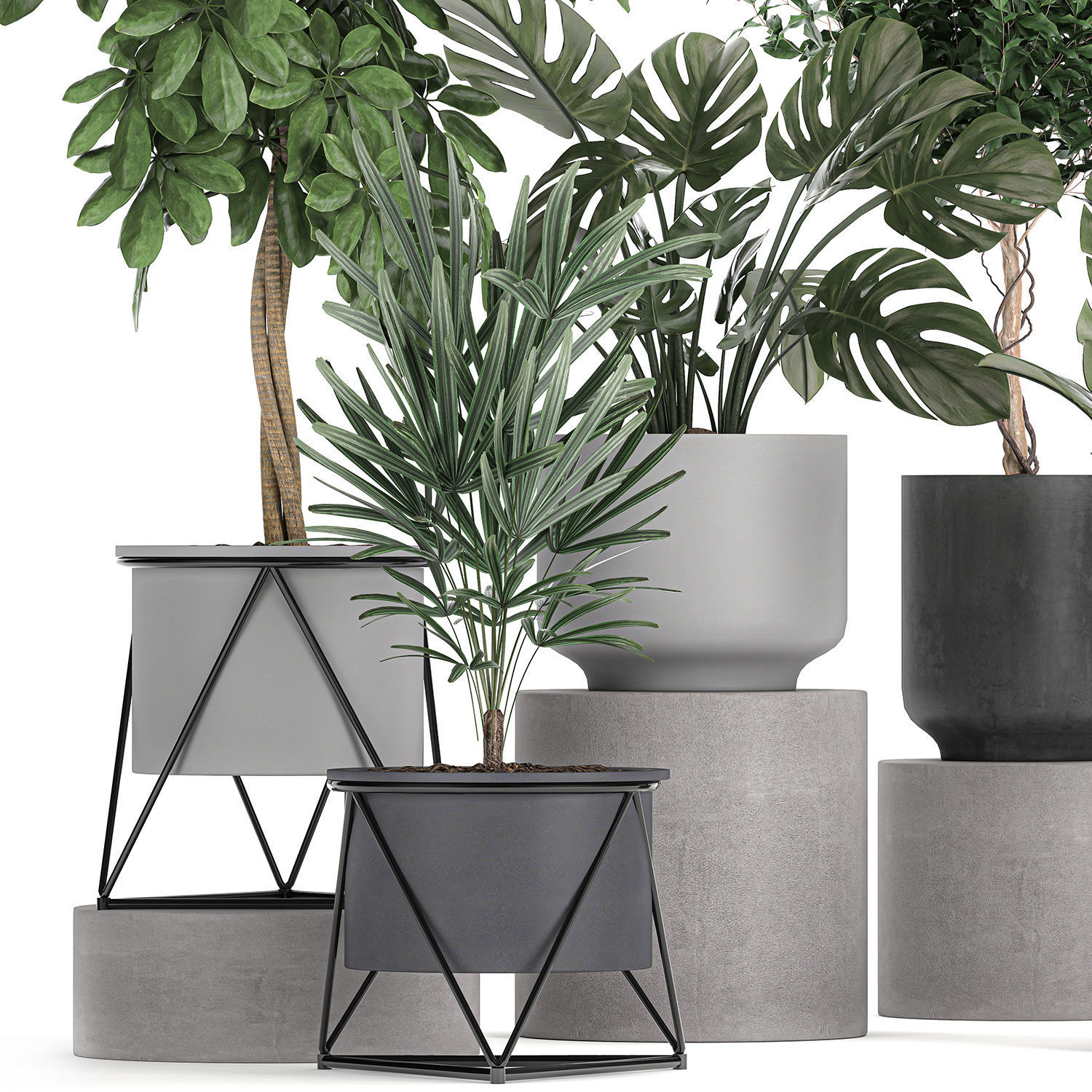 Collection of decorative plants in flowerpots 759 3D model_2