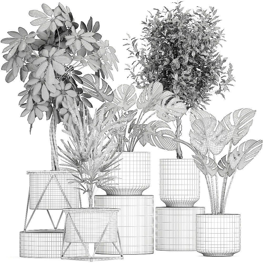 Collection of decorative plants in flowerpots 759 3D model_7