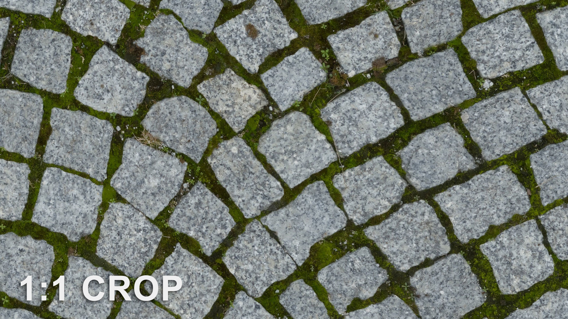 Scanned granite pavement seamless texture Texture_10