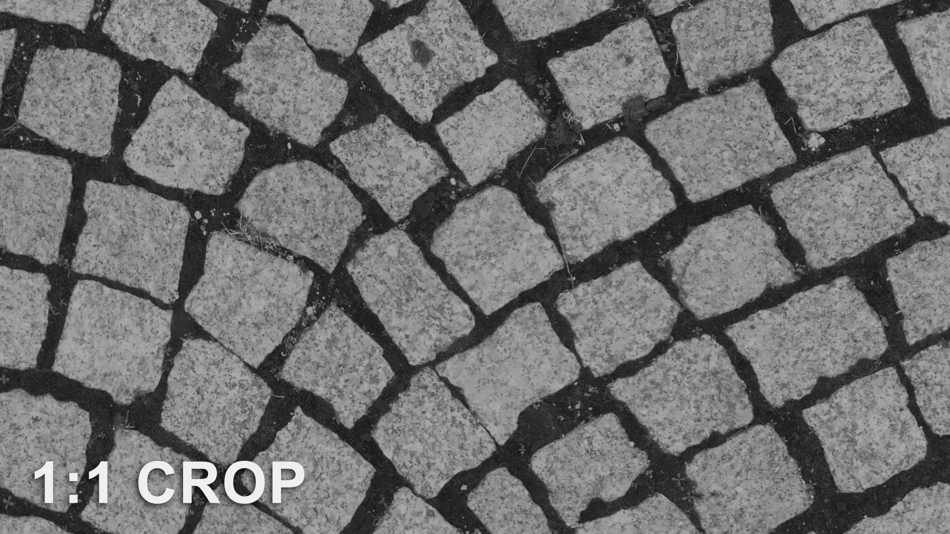 Scanned granite pavement seamless texture Texture_12