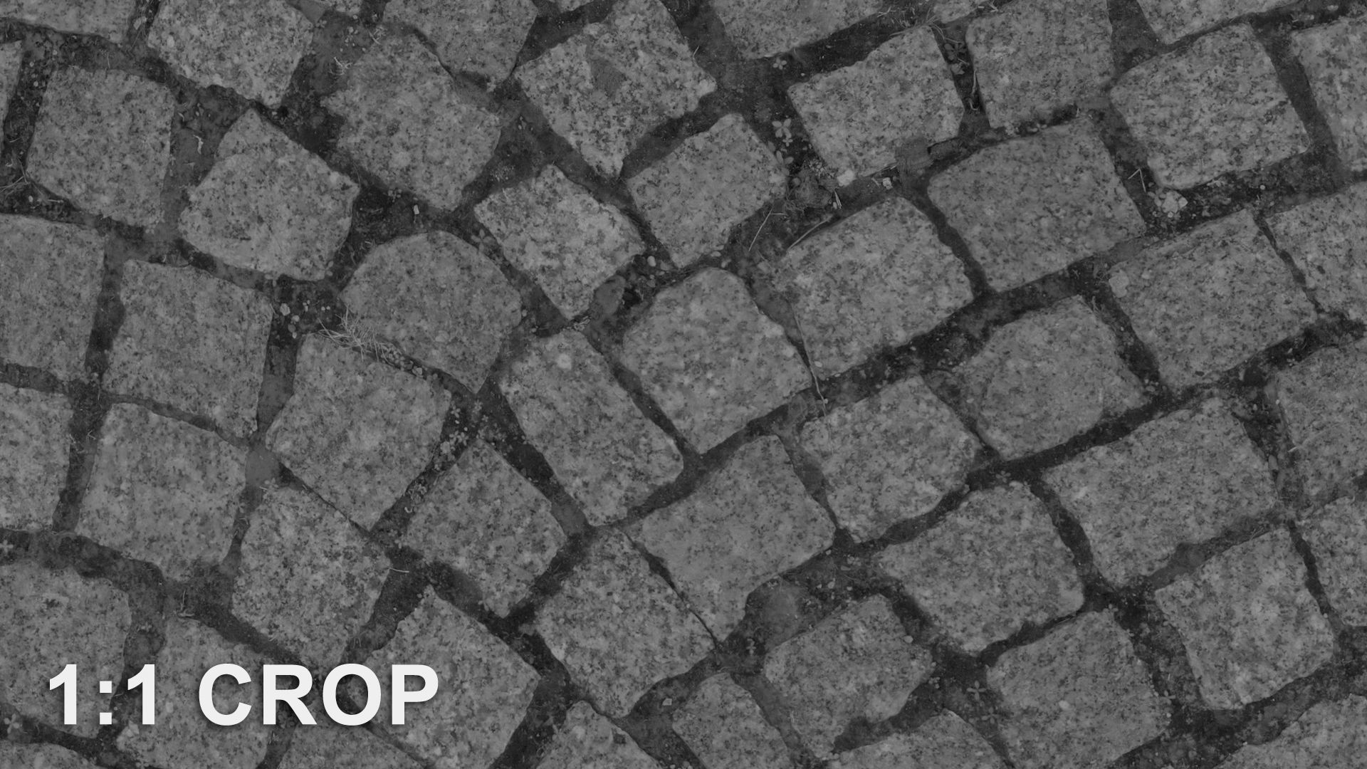 Scanned granite pavement seamless texture Texture_14