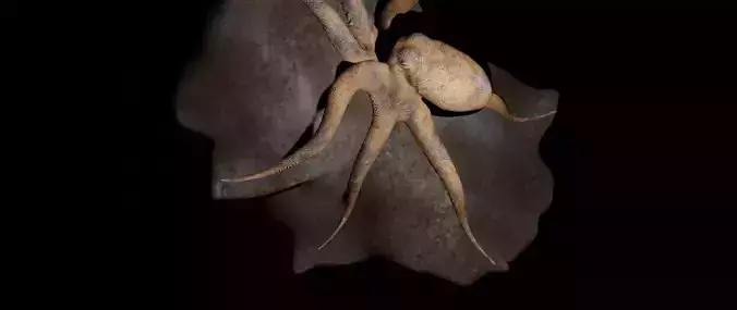 Octopus rigged animated gqp Low-poly 3D model