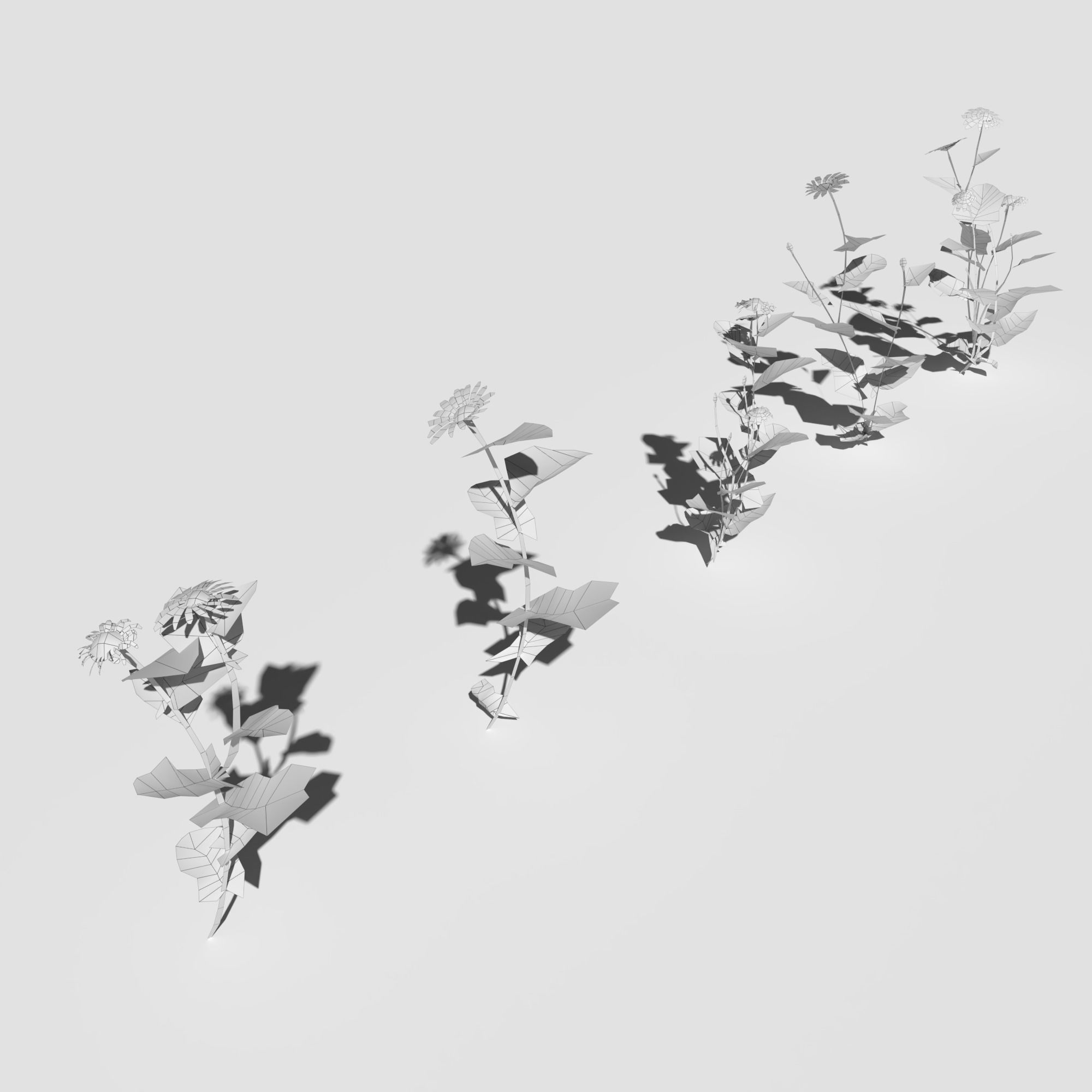 Wild Flower Plant Pack 3D model_36