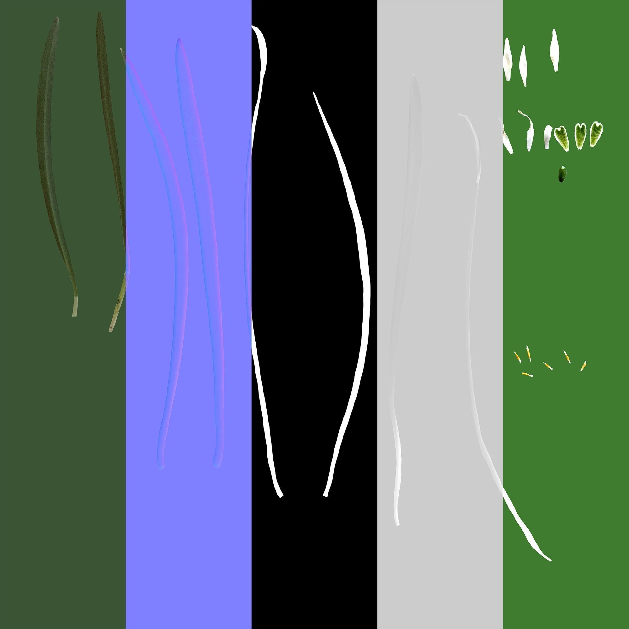 Wild Flower Plant Pack 3D model_55