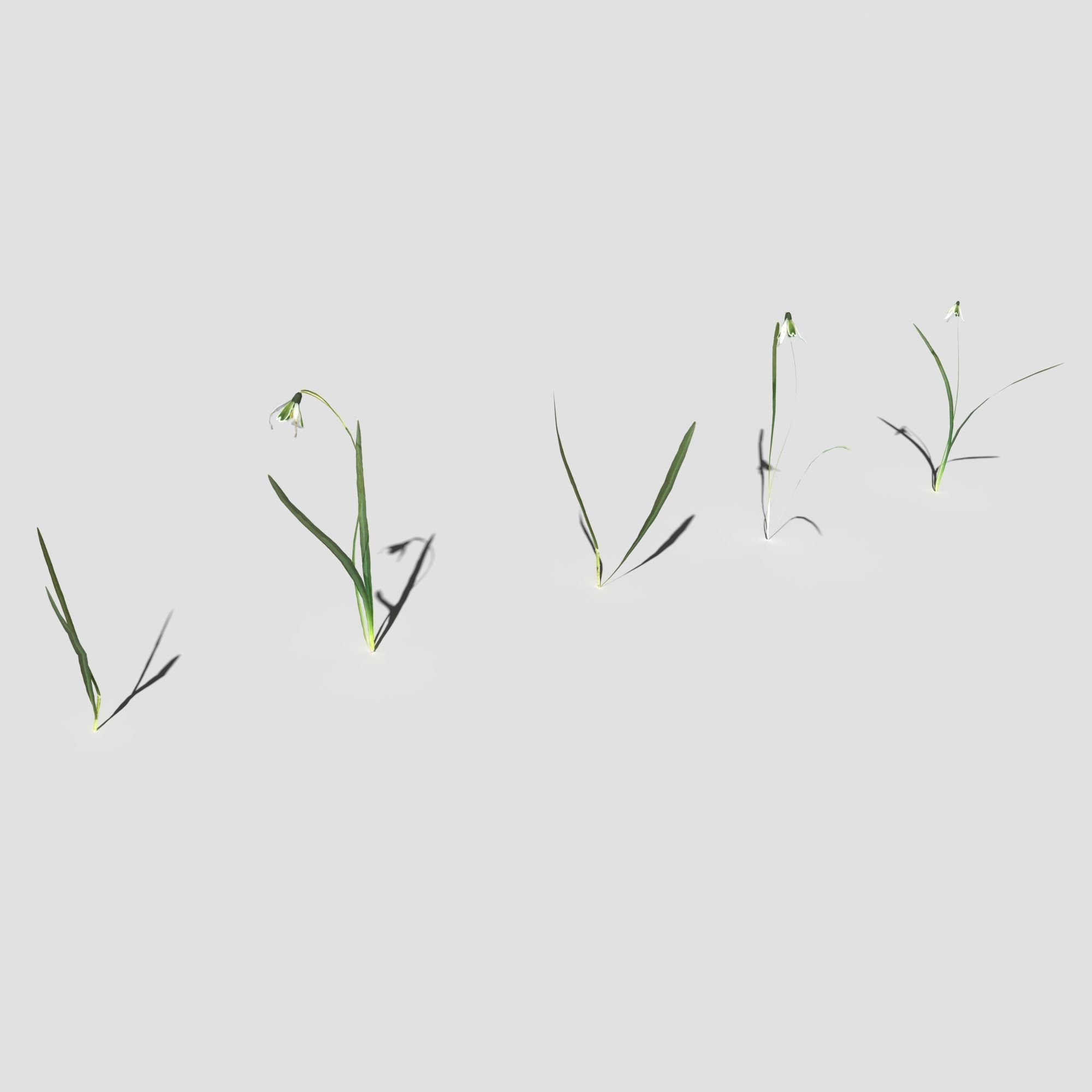 Wild Flower Plant Pack 3D model_25