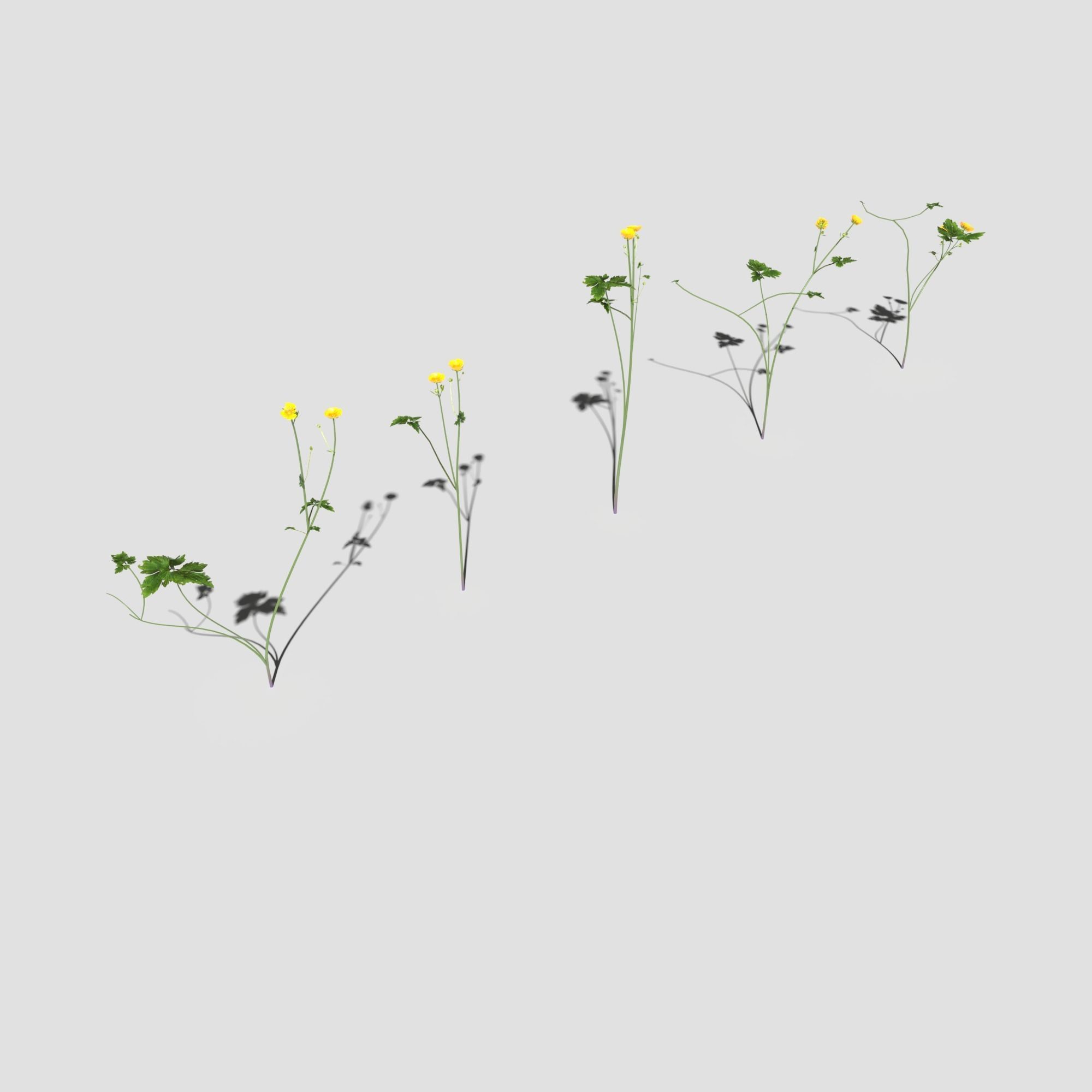 Wild Flower Plant Pack 3D model_29