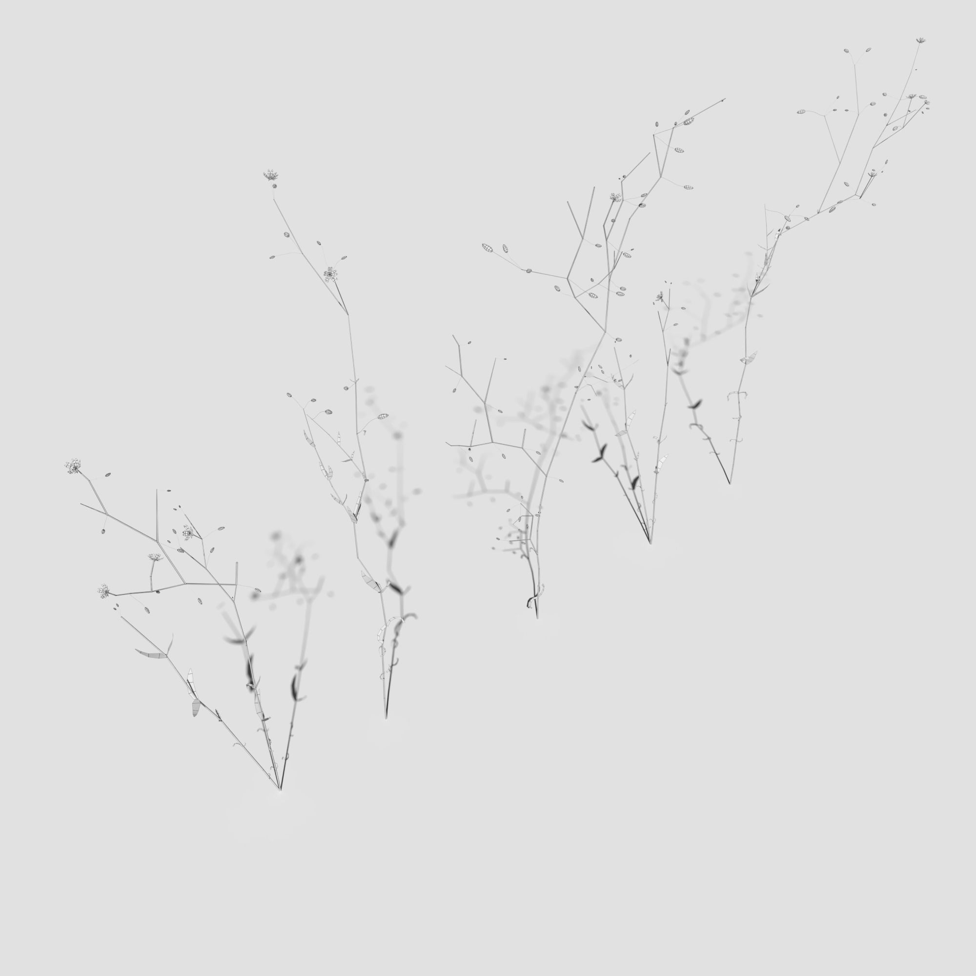 Wild Flower Plant Pack 3D model_46