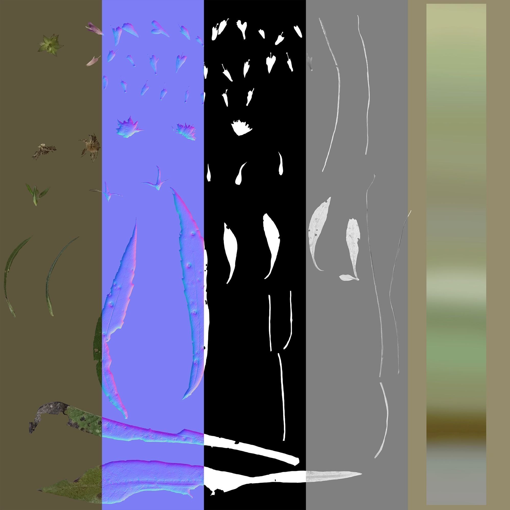 Wild Flower Plant Pack 3D model_61