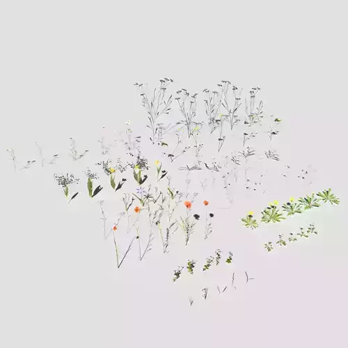 Wild Flower Plant Pack 3D model
