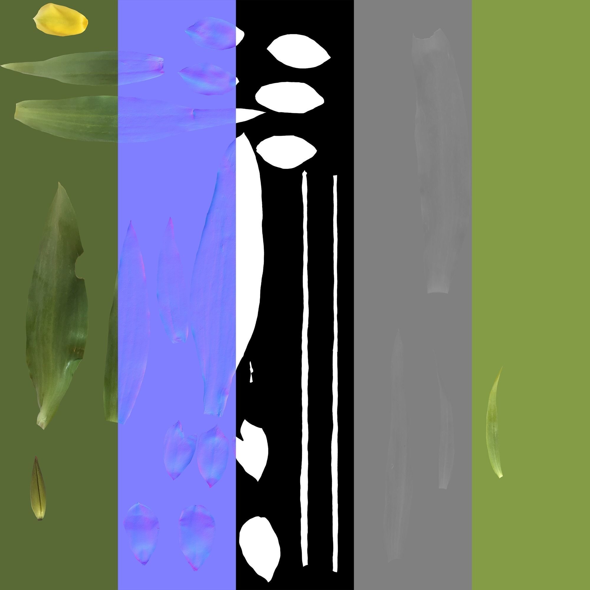 Wild Flower Plant Pack 3D model_63