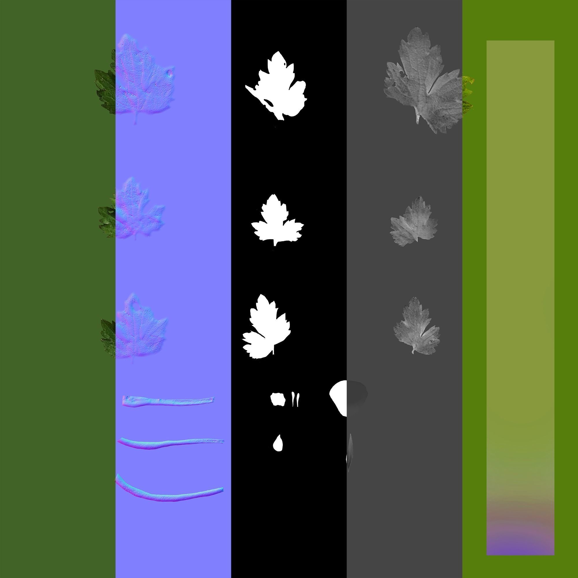 Wild Flower Plant Pack 3D model_57