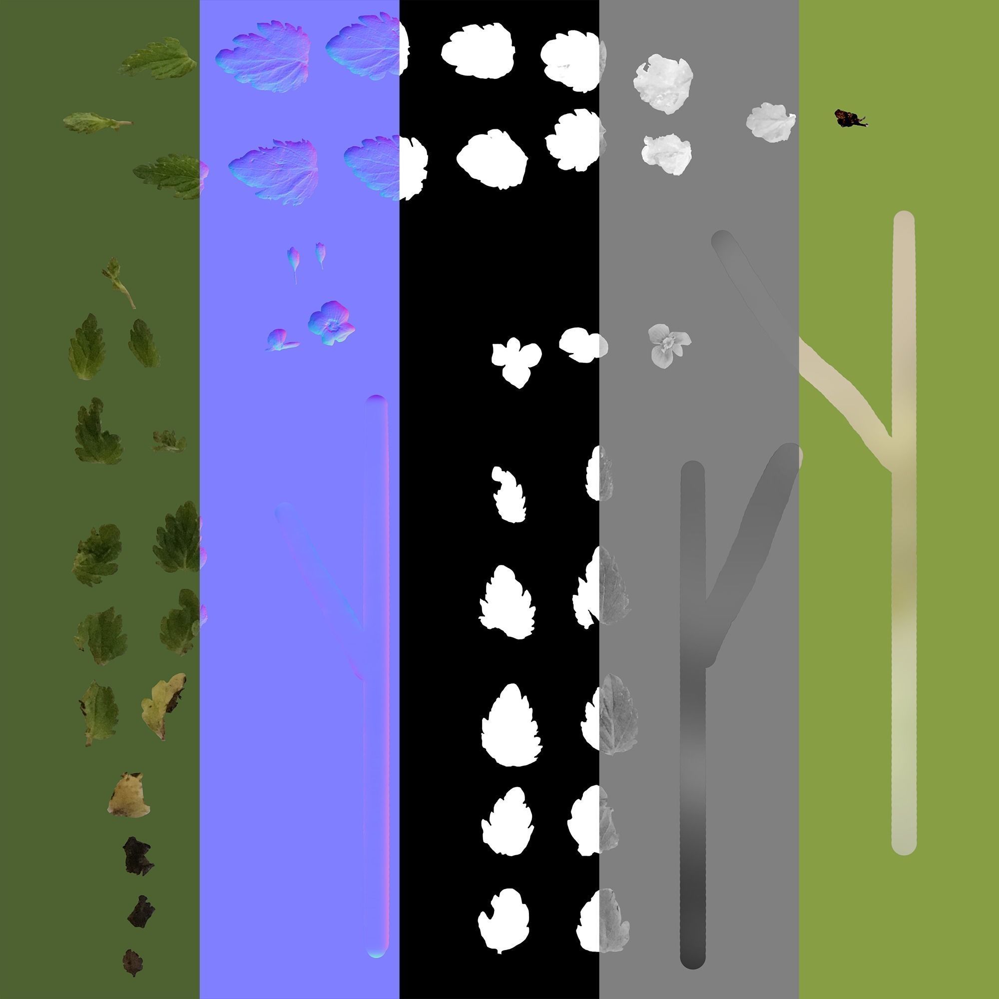 Wild Flower Plant Pack 3D model_69