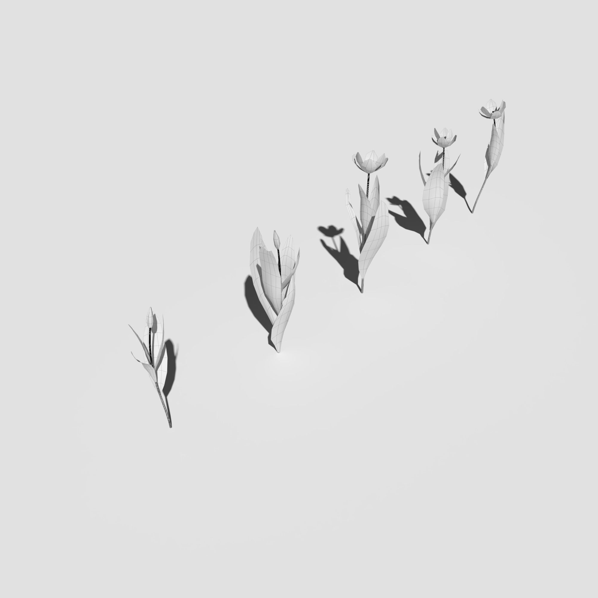 Wild Flower Plant Pack 3D model_42